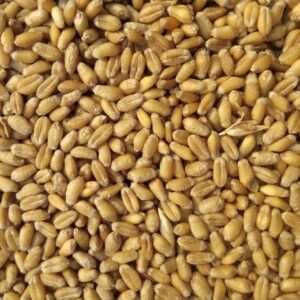 5-अनाज घराट मल्टीग्रेन आटा (1 kg)